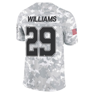 Limited Damien Williams Men's Dallas Cowboys 2024 Salute to Service Jersey - Arctic Camo